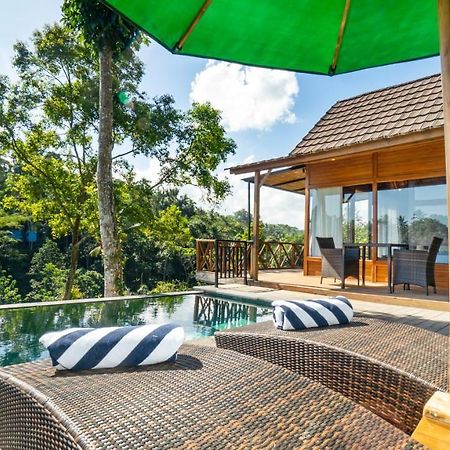Anja Villas Ubud Tegallalang  Eksteriør billede
