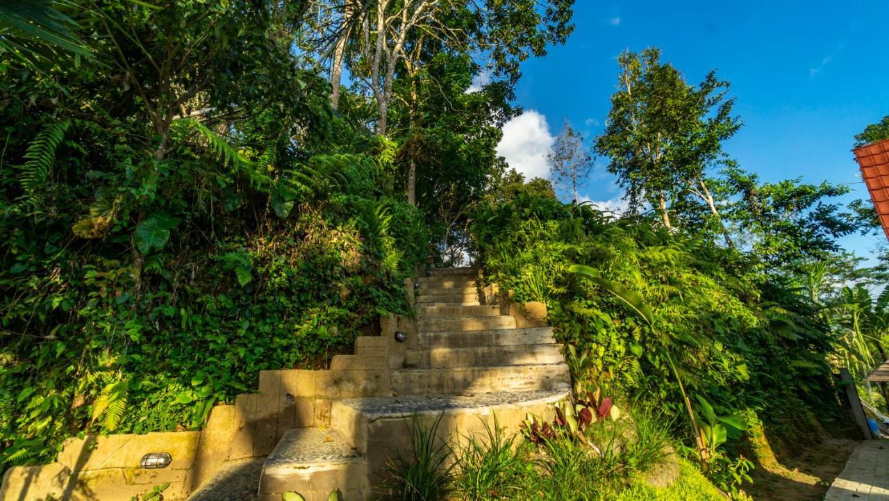 Anja Villas Ubud Tegallalang  Eksteriør billede